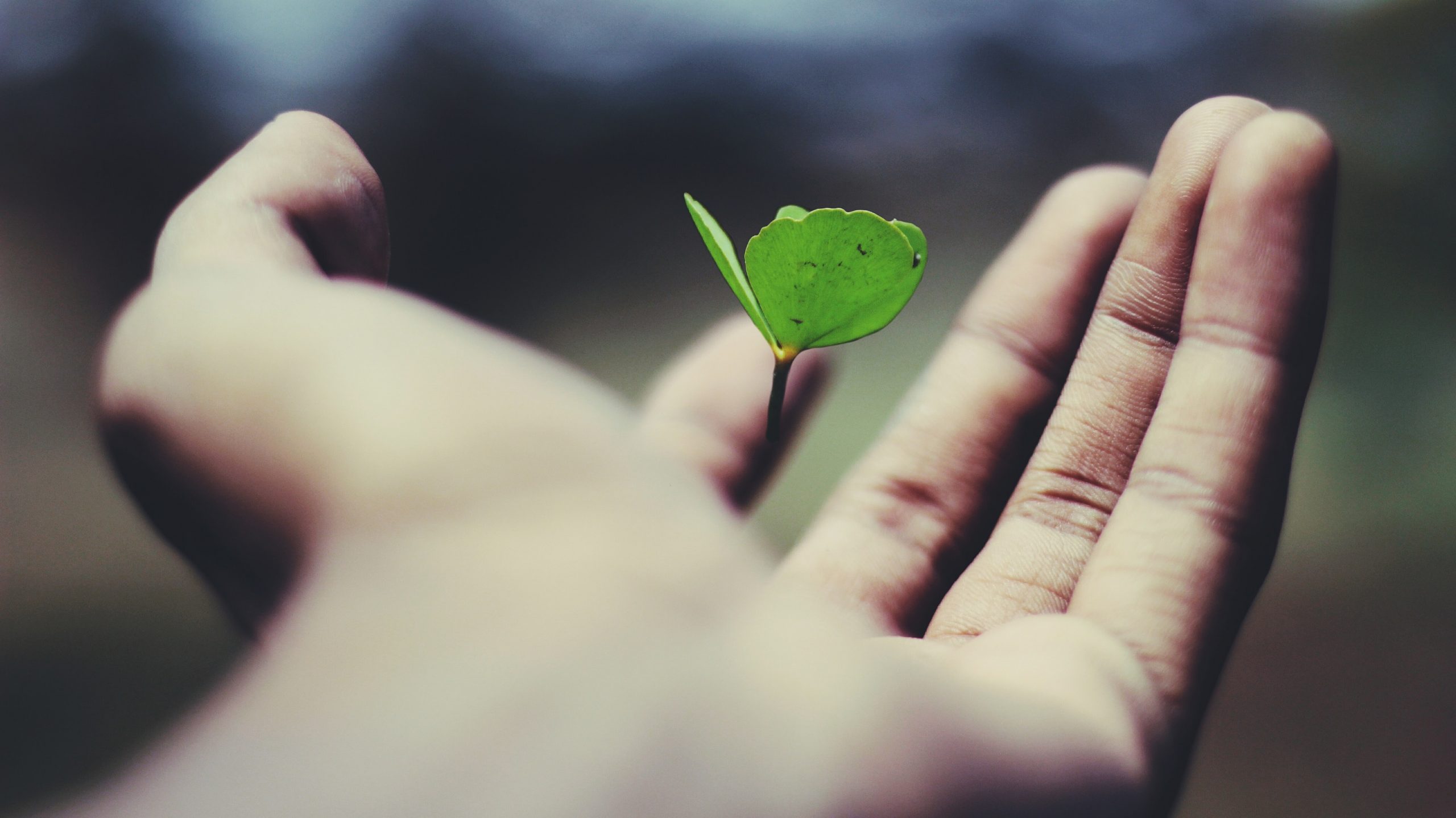 SMART Mental Health Goals For 2022